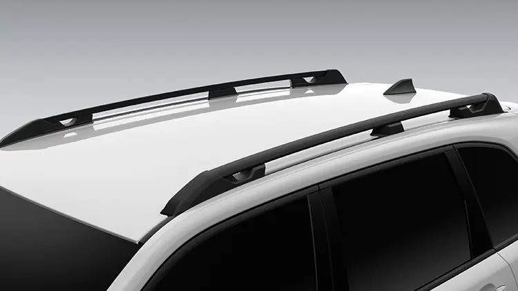 フォレスター ルーフレール(ラダータイプ)